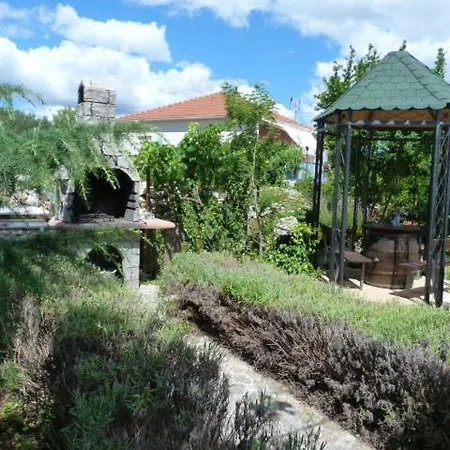 Zdravka Big Terrace *