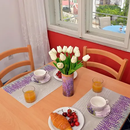 Daire Zdravka Big Terrace